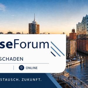 HanseForumSpezial: Erwerbsschaden